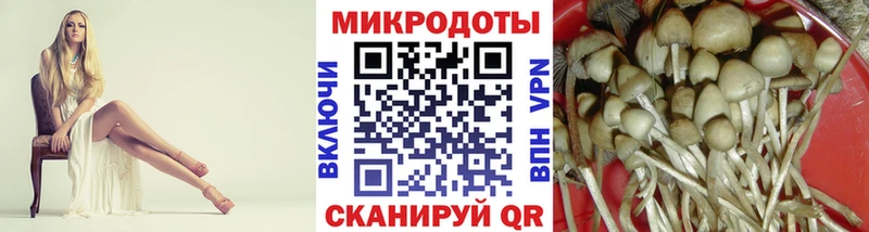 магазин  наркотиков  Апшеронск  Псилоцибиновые грибы ЛСД 